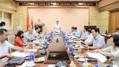 ທ່ານຮອງລັດຖະມົນຕີ ເຈິ່ນວັນທ້ວນ ໄດ້ຮຽກຮ້ອງໃຫ້ເລັ່ງພັດທະນາຖານຂໍ້ມູນຄຳຖາມສຳລັບການທົດສອບຄວາມສາມາດດ້ານວິຊາຊີບ.