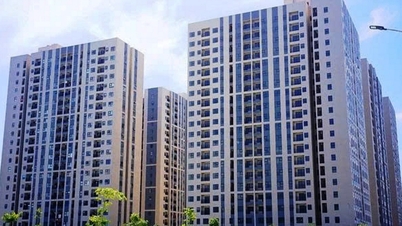 เมืองดานังประกาศจัดสรรที่ดิน 113 แปลงสำหรับการลงทุนสร้างบ้านเพื่อสังคม