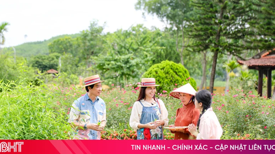 Junte-se à cantora Tan Son e siga os passos de Hai Thuong Lan Ong em meio à região montanhosa.