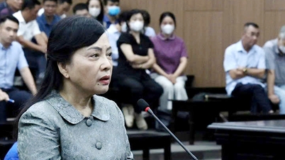 Nguyen Thi Kim Tien asszony bocsánatkérése