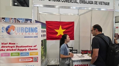 Vietnam zintenzivňuje aktivity na podporu obchodu na největším veletrhu v Latinské Americe.