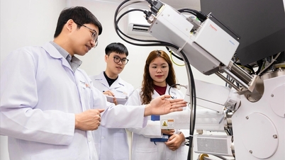 半導体分野の学生とその他15分野の学生は、月額550万ベトナムドンの奨学金を受け取る。