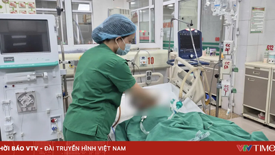 Un cálculo renal de 3 mm provocó que el paciente entrara en shock séptico crítico.