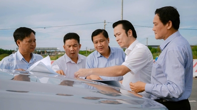 Pengarah Jabatan Perindustrian dan Perdagangan menjalankan tinjauan lapangan Kluster Perindustrian Loi Binh Nhon 2.