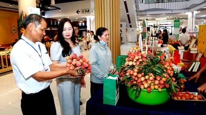 Thanh Ha liçileri artık Aeon Mall Hai Phong'da satışa sunulmuştur.
