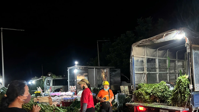 Președintele orașului Hanoi a ordonat inspecția unei piețe ilegale de flori de amploare din cartierul Kien Hung.