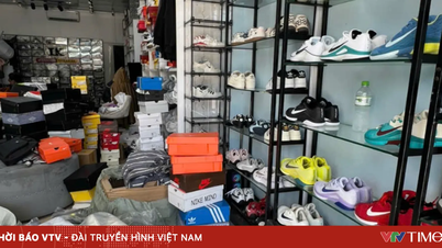 De autoriteiten hebben in Ninh Binh meer dan 7.600 paar namaak merkschoenen en -sandalen ontdekt.