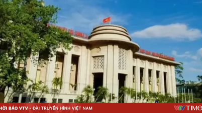 Bank Negara Vietnam: Memeriksa bank-bank yang menaikkan suku bunga, menindak tegas pelanggaran.