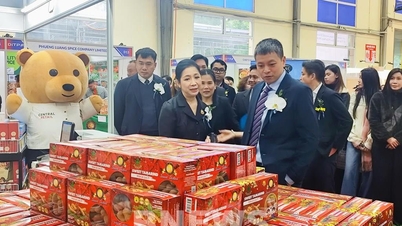 Vietnam - Thailand: Ausbau und Förderung der Zusammenarbeit in den Bereichen Handel, Investitionen und grüne Energie.
