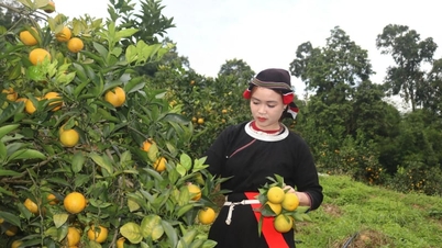ប្រសិនបើកម្មវិធីគោលដៅជាតិយឺតយ៉ាវ ប្រធានគណៈកម្មាធិការប្រជាជនខេត្ត ឬក្រុងនឹងត្រូវទទួលខុសត្រូវទាំងស្រុងនៅចំពោះមុខនាយករដ្ឋមន្ត្រី។