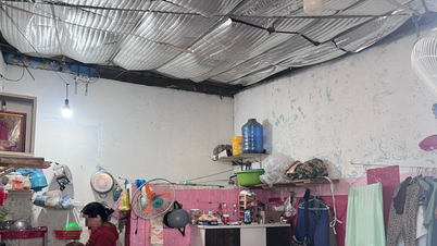 زندگی کارگران کارخانه: زندگی در محله‌های فقیرنشین، رویای زندگی بهتر.