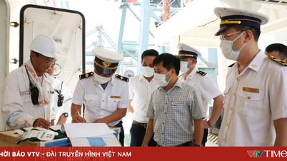 Tăng cường giám sát, chủ động phòng chống bệnh Ebola xâm nhập