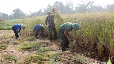 Dân vận khéo vun đắp “thế trận lòng dân” vững chắc