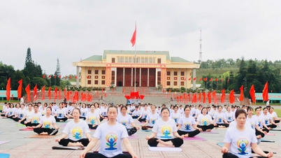 Lai Chau organisiert ein Programm zur Feier des Internationalen Yoga-Tags 2026.