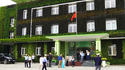 Thành lập Trung tâm Quản lý, bảo trì giao thông và hạ tầng kỹ thuật