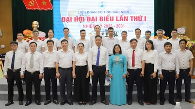 Đại hội đại biểu Liên đoàn Cờ tỉnh Bắc Ninh lần thứ I, nhiệm kỳ 2026 - 2031