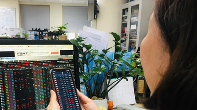 Der VN-Index testet seinen Höchststand vor Korrekturdruck und makroökonomischen Variablen