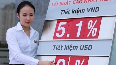 Bank Negara Vietnam memantau pelaksanaan penurunan suku bunga.