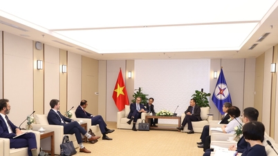 Vietnam Electricity Corporation (EVN) holdt et arbeidsmøte med en delegasjon fra det franske elektrisitetsselskapet.
