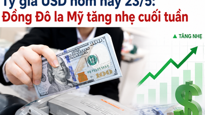 Tipo de cambio del USD hoy, 23 de mayo: El dólar estadounidense sube ligeramente al final de la semana.