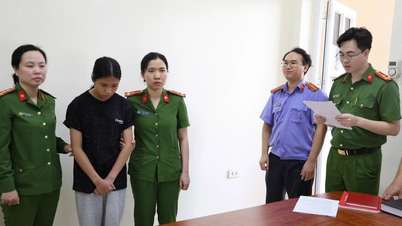 ผู้ต้องสงสัยสองคนถูกตั้งข้อหาในคดีที่นักศึกษาหญิงคนหนึ่งถูกกลุ่มคนรุมทำร้ายในจังหวัดฟู้โถ