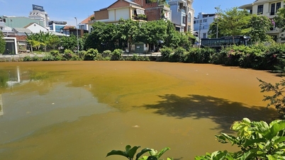 Die Oberfläche des Heart Lake in Hue ist mit einem Schaumfilm bedeckt und hat sich ungewöhnlich verfärbt.