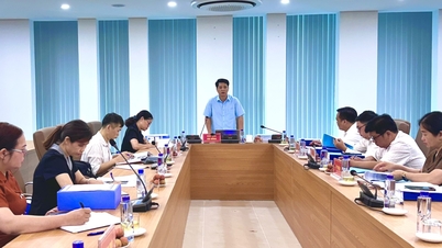 Reunión del Consejo para la evaluación y aprobación del proyecto de investigación "Investigación sobre la conservación y el desarrollo de los recursos genéticos del árbol Mac Pup en la provincia de Cao Bang" - Periódico en línea de Cao Bang
