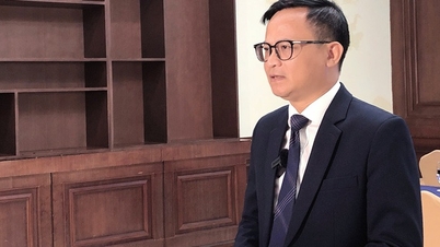 Pelajaran 2: Untuk memiliki jutaan usaha perseorangan, reformasi kelembagaan sangat diperlukan.
