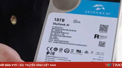 Bac Ninh eyaletindeki yetkililer, fikri mülkiyet haklarını ihlal ettiğinden şüphelenilen 264 adet sabit diske el koydu.