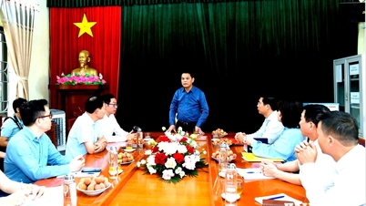 លោក ឡេ ង៉ុកចូវ លេខាបក្សនៃគណៈកម្មាធិការទីក្រុង ត្រួតពិនិត្យការពិនិត្យសុខភាពជាប្រចាំសម្រាប់មនុស្សចាស់។