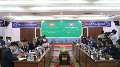 Local cooperation is a crucial driving force in promoting economic, trade, and investment relations between Vietnam and Cambodia.