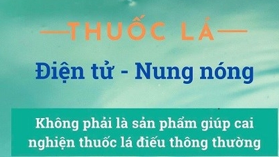 Ninh Binh: Tomar medidas decisivas para lograr un entorno libre de humo para 2026.