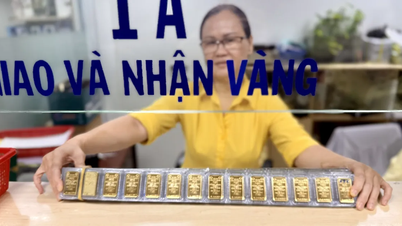 Les prix de l'or ont chuté de 500 000 VND par tael ce week-end.