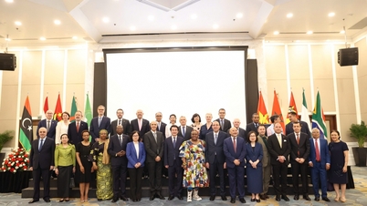 Vietnam, Afrika ile dostluğunu derinleştirmek istiyor.