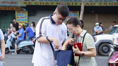 Đáp án môn tiếng Anh vào lớp 10 năm 2026 Ninh Bình đầy đủ nhất