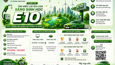 Lançamento do concurso "Entendendo os benefícios do biocombustível E10"
