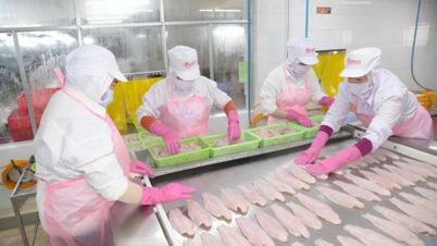 Dong Thap: Förderung der Qualitätsstandards in Unternehmen.