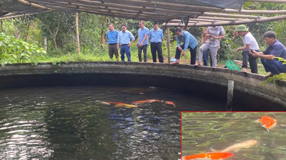 Phúc Khánh ra mắt Tổ hội nông dân nghề nghiệp nuôi cá tầm thôn Trĩ Trong