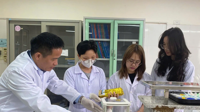 画期的な政策は、基礎科学の地位回復に役立つ。