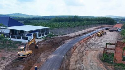 Dong Nai perlu mengagihkan 1,600 bilion VND modal pelaburan awam dalam tempoh 10 hari terakhir bulan Mei.