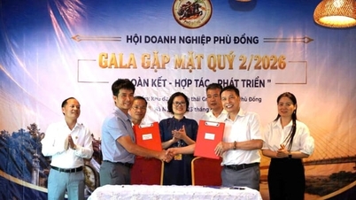 Hội Doanh nghiệp Phù Đổng: Tăng cường liên kết, nâng cao năng lực quản trị cho hội viên