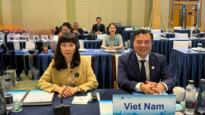 Thứ trưởng Nguyễn Sinh Nhật Tân làm Trưởng đoàn tham dự Hội nghị Bộ trưởng thương mại APEC lần thứ 32