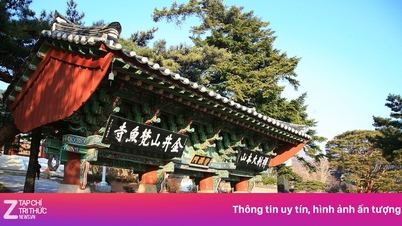 Giá khách sạn tăng vọt, fan BTS đến Hàn Quốc ở trong chùa