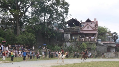 Kunjungi "Dataran Tinggi Putih" di Bac Ha untuk menyaksikan para petani membalap kuda.