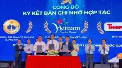 Quang Ninh kommer att vara värd för det årliga nationella forumet för grön turism år 2026.