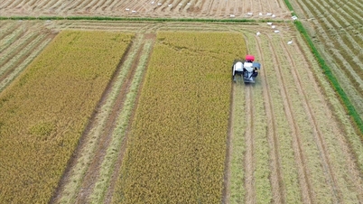 De la „capital mort” la „TFP verde”: Perfecționarea cadrului instituțional pentru dezvoltarea agriculturii circulare.