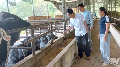 Chuyển giao khoa học kỹ thuật cho hơn 3.200 lượt nông dân