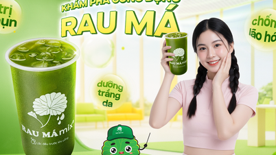 เซนเทลลา เอเชียติกา ช่วยต่อต้านริ้วรอยแห่งวัยได้หรือไม่?