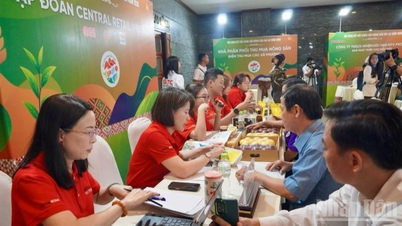 40 entreprises et coopératives de la province de Gia Lai se sont associées pour commercialiser leurs produits.