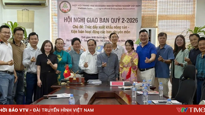 VFAEA aspira a desempeñar un papel central en la conexión de recursos para la agricultura vietnamita.